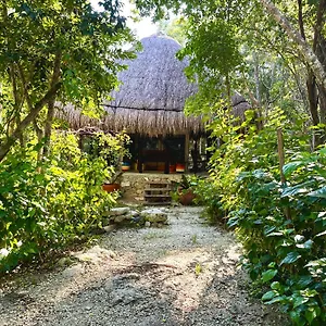 bunga-lotus-glamping-otoch-nacom.allrivieramayahotels.com/